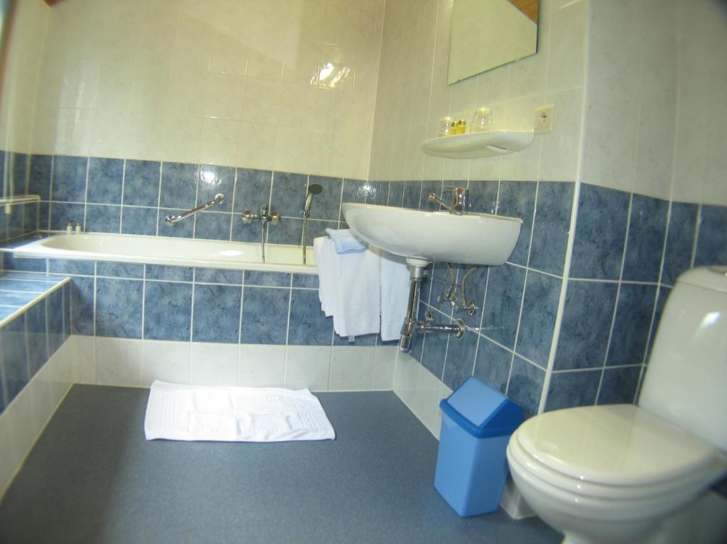 Hotel Aux Massotais Petites Tailles Phòng bức ảnh