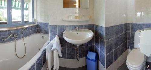 Hotel Aux Massotais Petites Tailles Phòng bức ảnh
